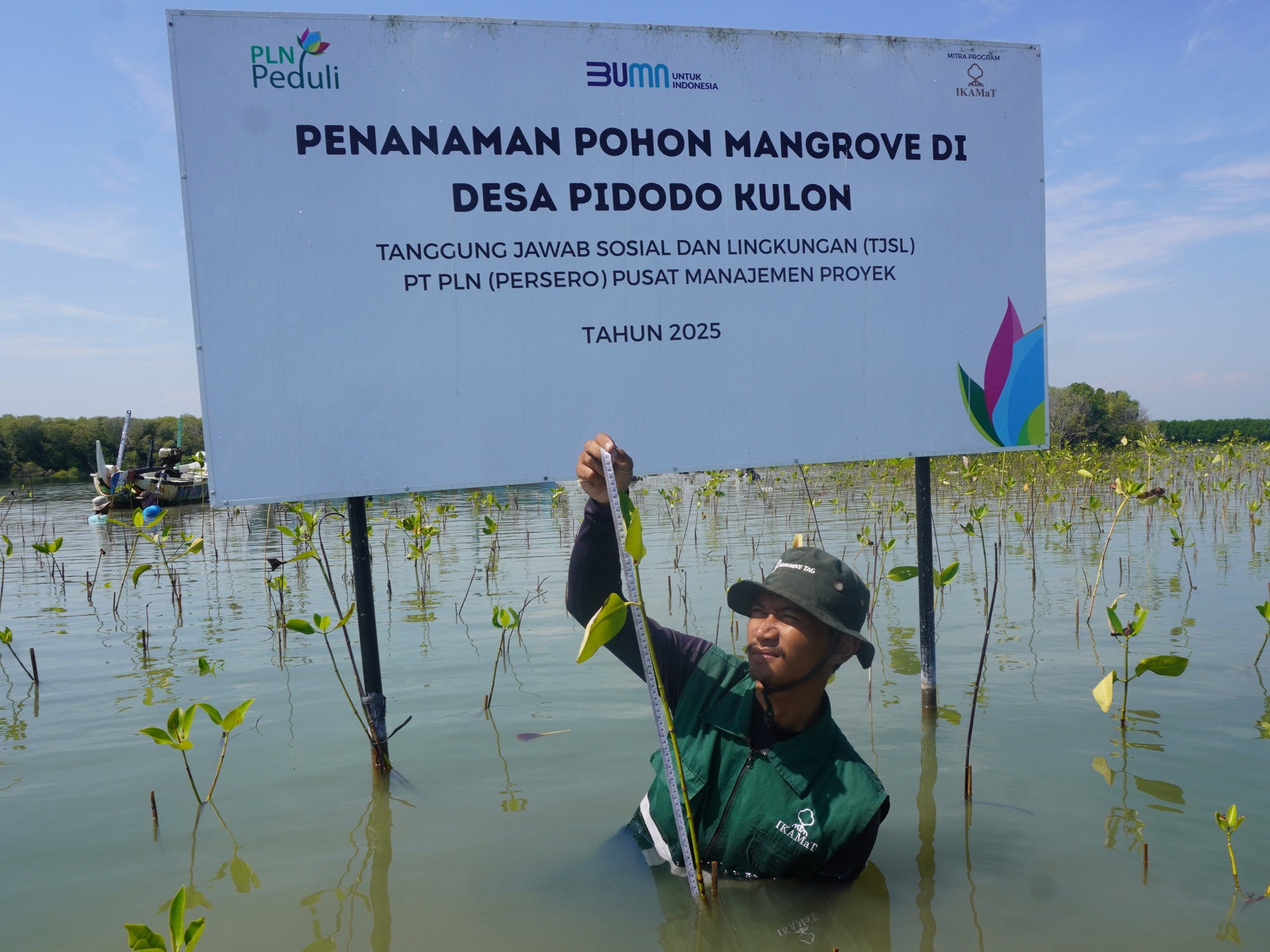 Pemantauan PT PLN Pusmanpro