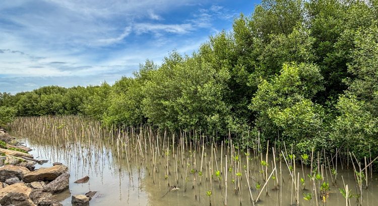 Pemantauan Bulan ke-6 PT PGN di Serang