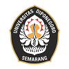 undip