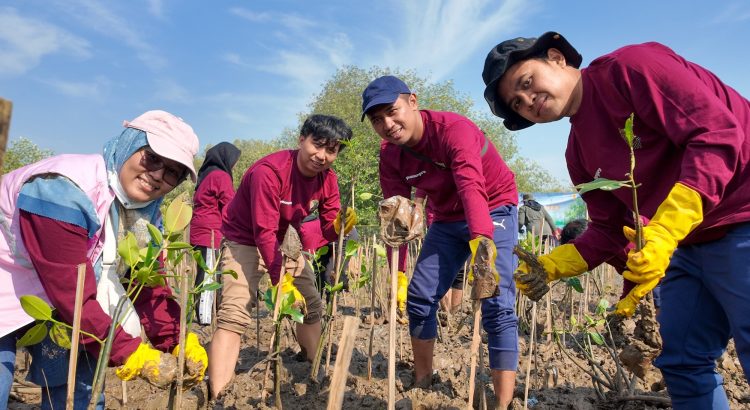 Penanaman mangrove Semarang: PT PLN Pusmanpro