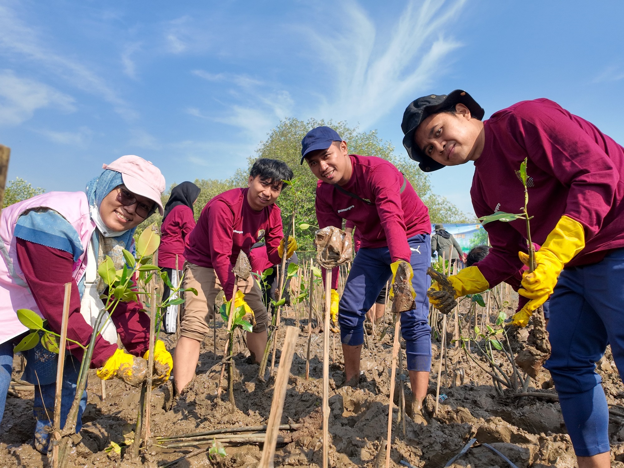 Penanaman mangrove Semarang: PT PLN Pusmanpro