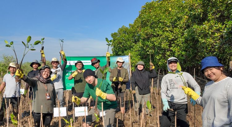 Penanaman mangrove Evergreen bersama Mangrove Tag di SMC Jateng Semarang