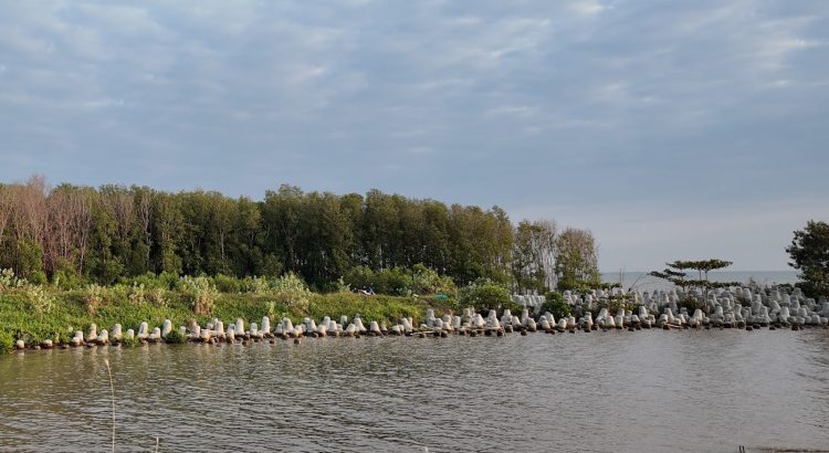 Sistem Alat Penahan Badai berupa struktur permeabel bambu untuk mendukung rehabilitasi mangrove di kawasan pesisir