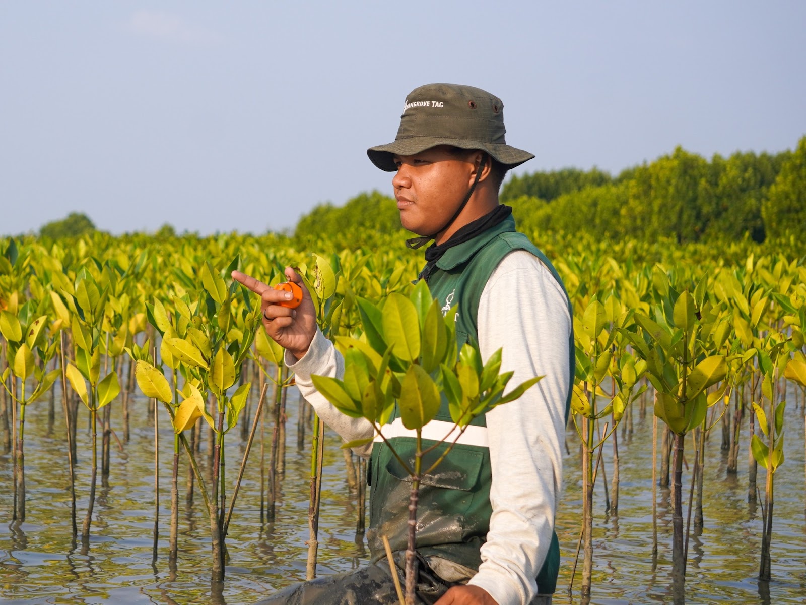 Pemantauan mangrove PT PGN di Bekasi bulan ke-9 dengan kelulushidupan 82,34 persen.