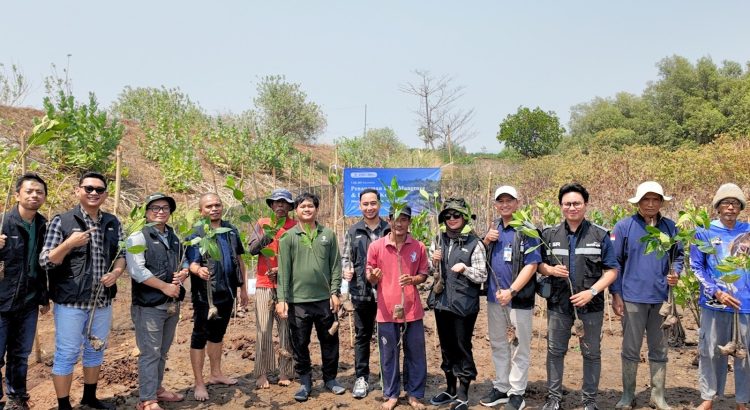 Penanaman bibit mangrove BRI Insurance bersama Mangrove Tag sebanyak 750 bibit di SMC Jateng Semarang.