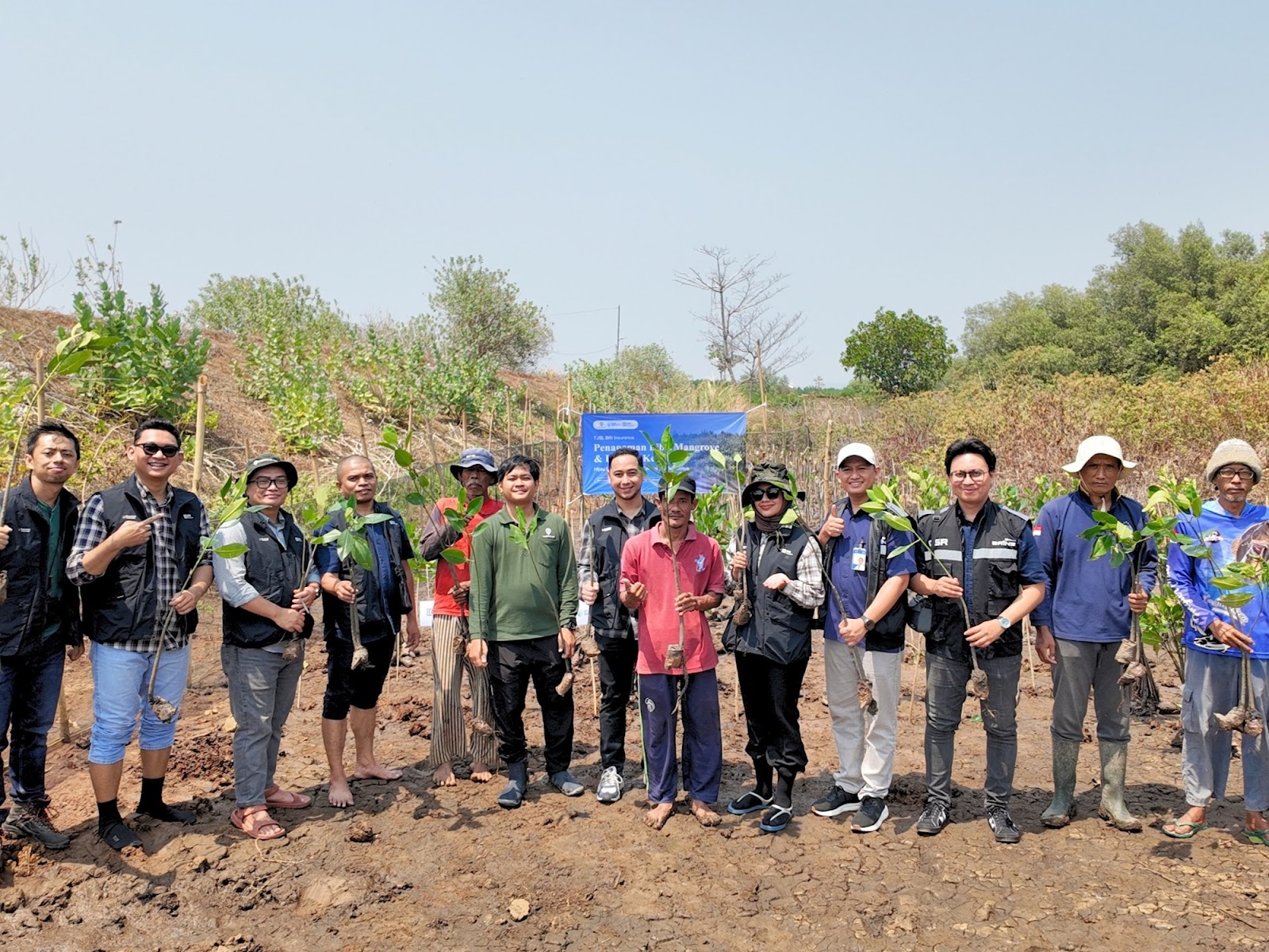 Penanaman bibit mangrove BRI Insurance bersama Mangrove Tag sebanyak 750 bibit di SMC Jateng Semarang.